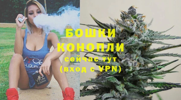 дурь Богданович