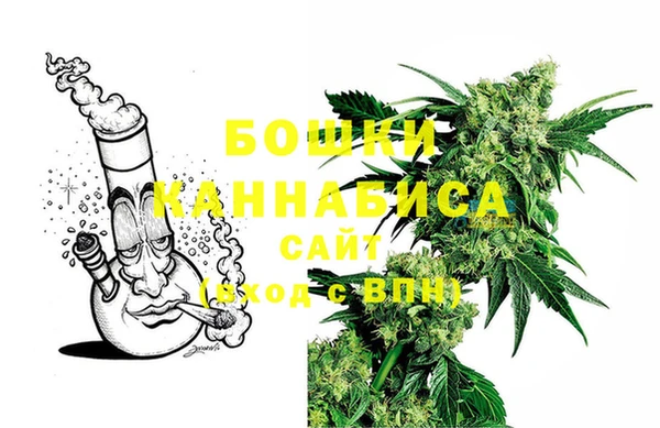 дурь Богданович