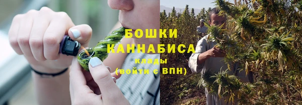 дурь Богданович